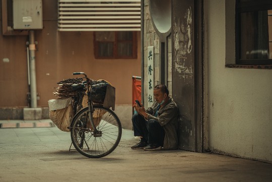 异蛇王酒京城寻觅指南，热销背后的品鉴奥秘